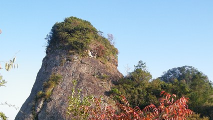 都峤山森林公园第 4 张图片