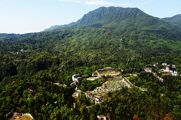 碧峰峡野生动物世界第 67 张图片