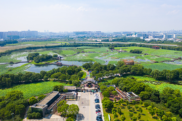 荷塘月色湿地公园第 6 张图片