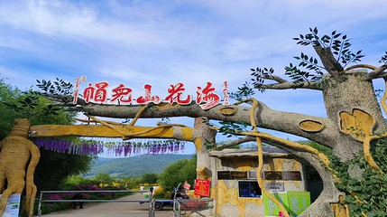 帽儿山花海第 1 张图片