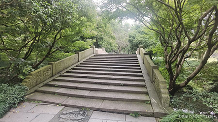 新横河桥第 1 张图片