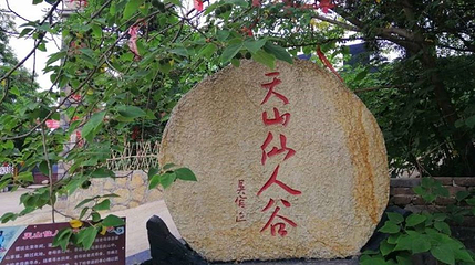 天山仙人谷第 1 张图片