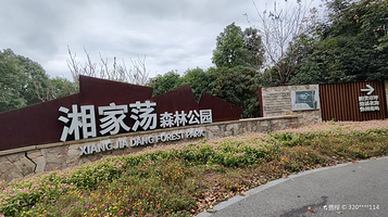 湘家荡森林公园