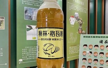 秋林格瓦斯博物馆第 1 张图片