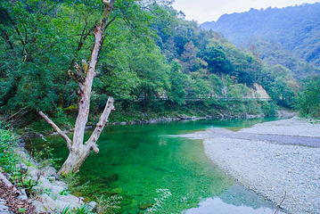 阳坝自然风景区第 1 张图片
