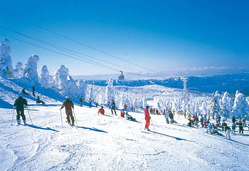 西柏坡温泉滑雪场第 1 张图片
