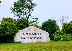 楚王车马阵景区(熊家冢国家考古遗址公园)
