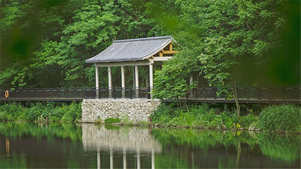 颐和伏牛山居温泉第 24 张图片
