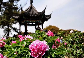 尚湖风景区第 74 张图片
