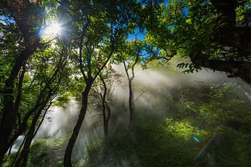 八卦脑景区第 36 张图片