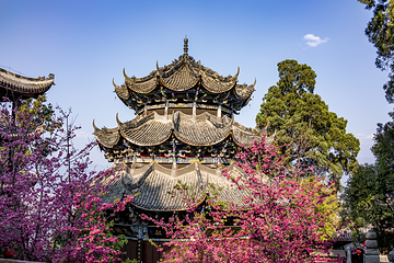 泸山第 27 张图片