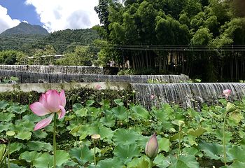 道元古村景区第 1 张图片