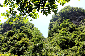 碧峰峡景区第 90 张图片