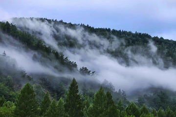 好森沟国家森林公园第 15 张图片