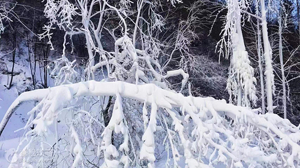 月亮湾冰雪乐园第 6 张图片
