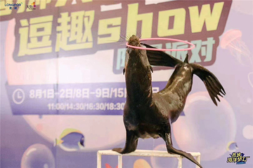振兴小镇第 66 张图片