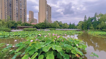 富民湿地公园第 1 张图片