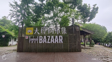 千年古樟群第 3 张图片