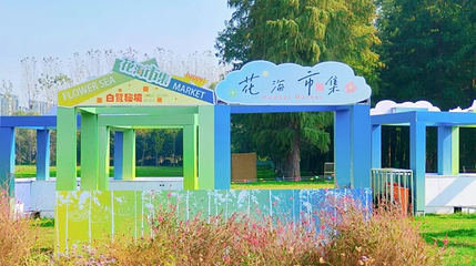 池杉白鹭秘境第 1 张图片