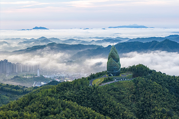桃花江竹海景区第 19 张图片