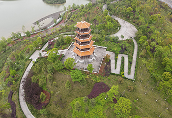 新蒲湿地公园第 28 张图片