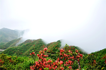 塔山瑶乡天堂山景区第 11 张图片