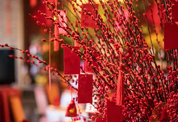 三亚亚龙湾希尔顿酒店·丰园御鸭第 35 张图片