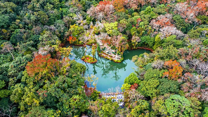 海南百花岭热带雨林文化旅游区第 73 张图片