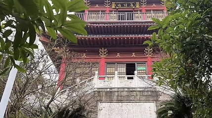 上饶市植物园第 1 张图片