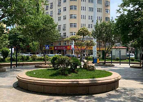 街心花园