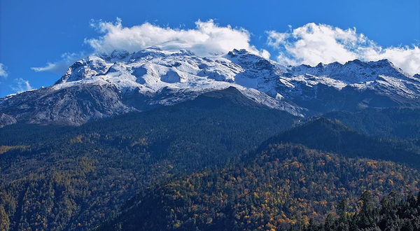 哈巴雪山露营营地
