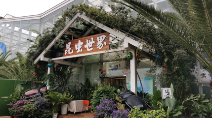 捞鱼河昆虫世界第 1 张图片