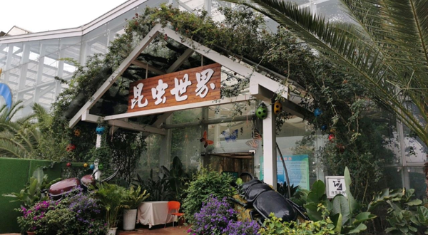 捞渔河昆虫世界