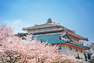 武汉大学第 3 张图片