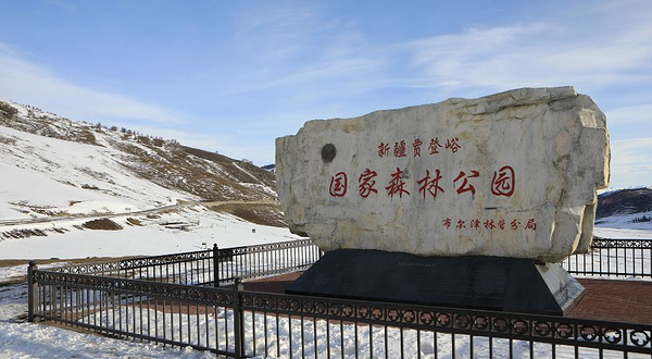 贾登峪国家森林公园