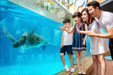 海合安成都极地海洋公园第 54 张图片