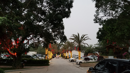 国医小镇第 28 张图片