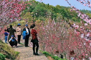 聚艺视界研学院湘潭梅林桥基地第 7 张图片
