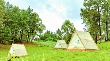 篷客露营地(天府茶灵谷店)