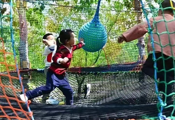 青州杏花村旅游度假区第 10 张图片