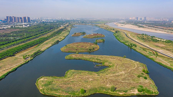 渭河生态景观区