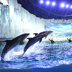 哈尔滨极地公园·极地馆