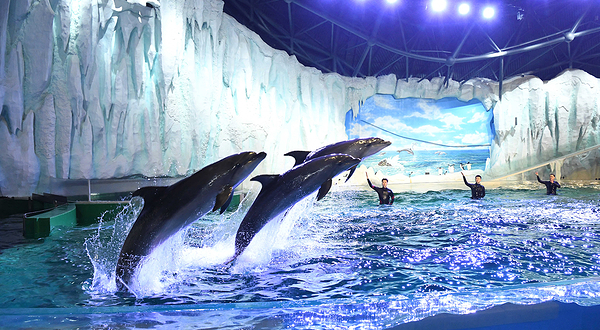 哈尔滨极地公园·极地馆