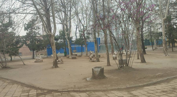 人民公园-动物园