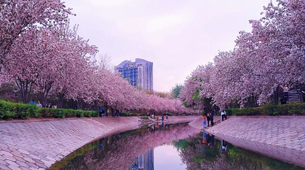 望京休闲水岸第 1 张图片