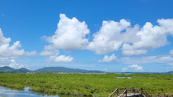 海南陵水红树林国家湿地公园