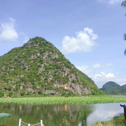 普者黑风景区-西荒湿地