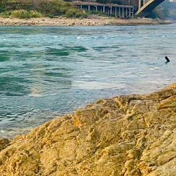 攀枝花市金沙公园