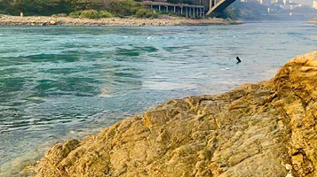 攀枝花市金沙公园