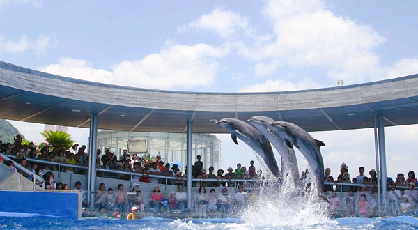 大分海之卵水族馆
